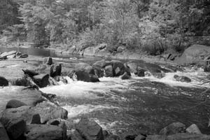 traditional black and white photography nature