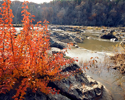 fall color haw river north carolina